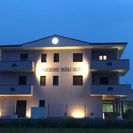 Pensione Degli Ulivi Porto Sant'Elpidio Bagian luar foto