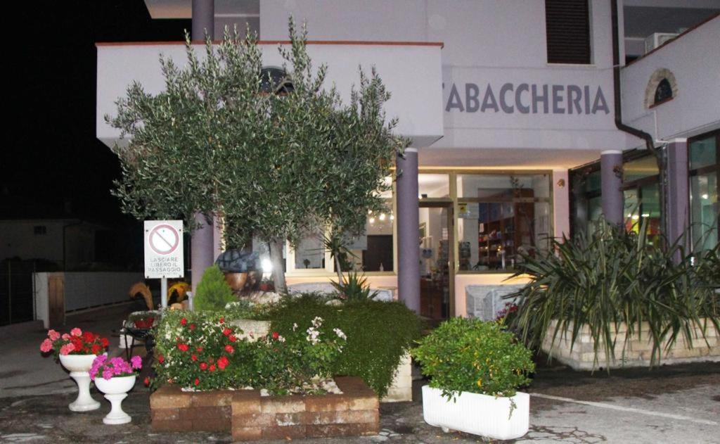 Pensione Degli Ulivi Porto Sant'Elpidio Bagian luar foto