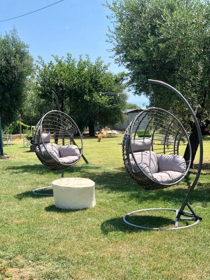 Pensione Degli Ulivi Porto Sant'Elpidio Bagian luar foto