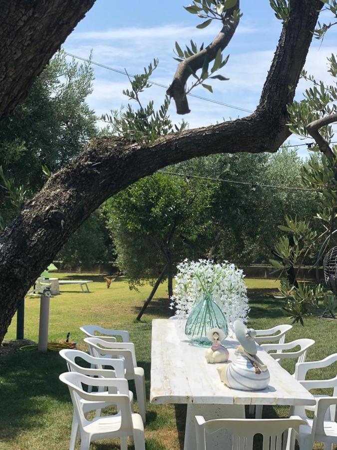 Pensione Degli Ulivi Porto Sant'Elpidio Bagian luar foto