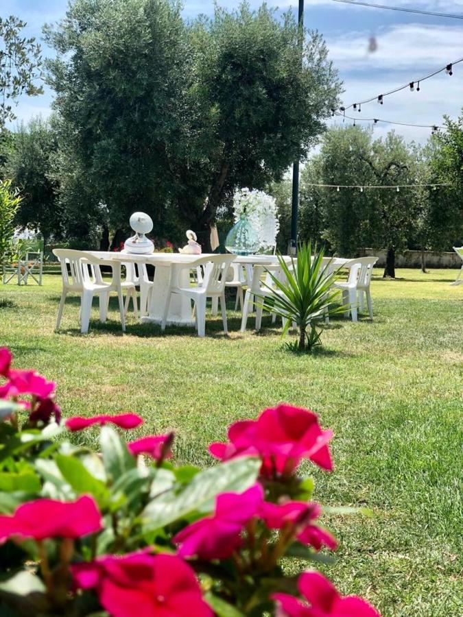 Pensione Degli Ulivi Porto Sant'Elpidio Bagian luar foto