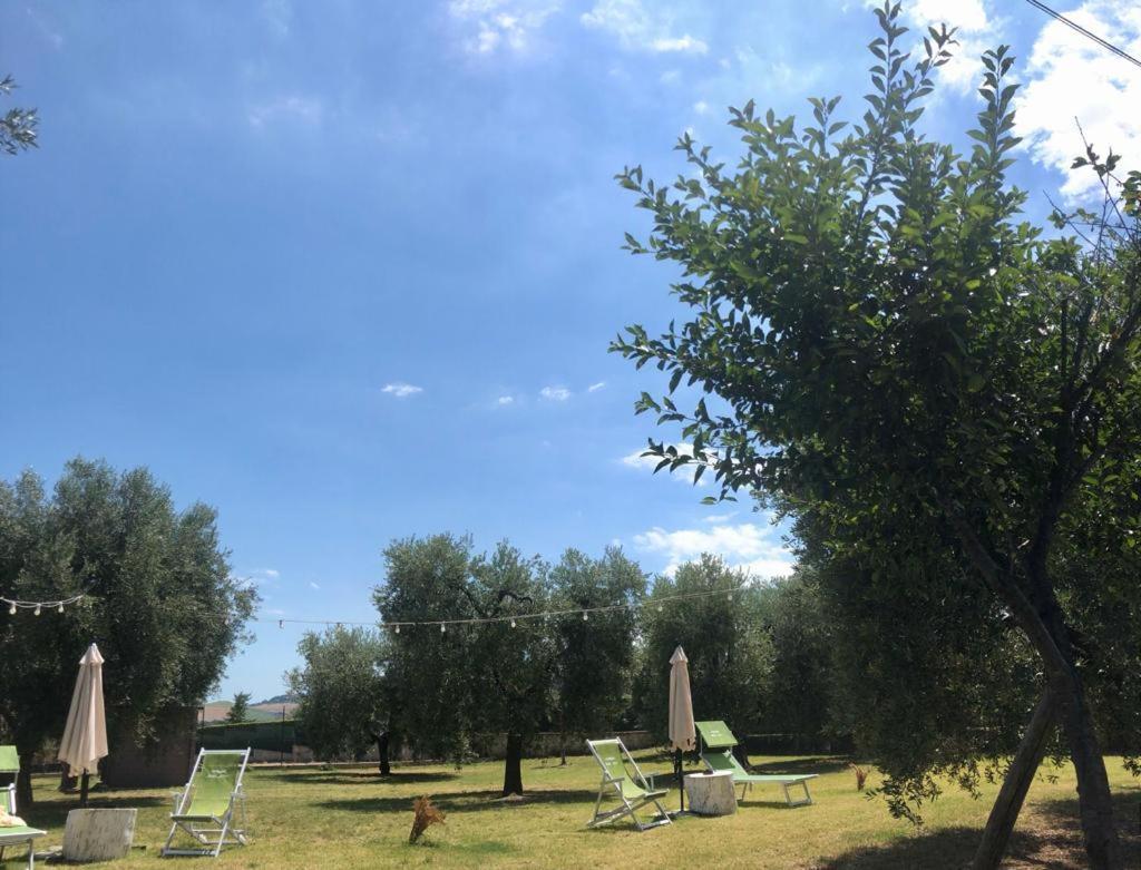Pensione Degli Ulivi Porto Sant'Elpidio Bagian luar foto
