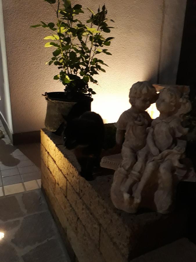 Pensione Degli Ulivi Porto Sant'Elpidio Bagian luar foto